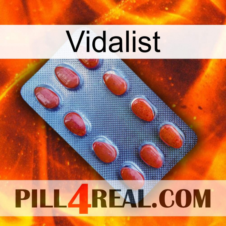 Vidalist 06